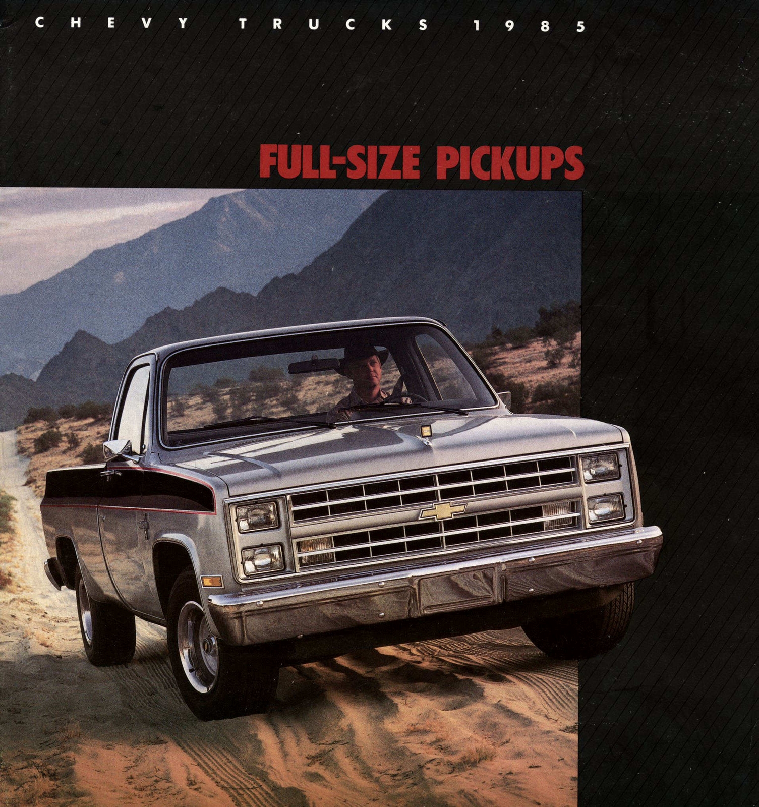 n_1985 Chevrolet Full-Size Pickups-01.jpg